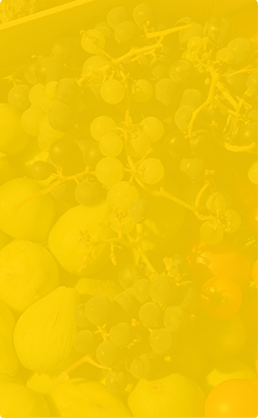 category-left-banner-1