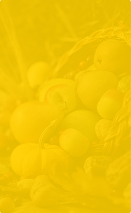 category-left-banner-2